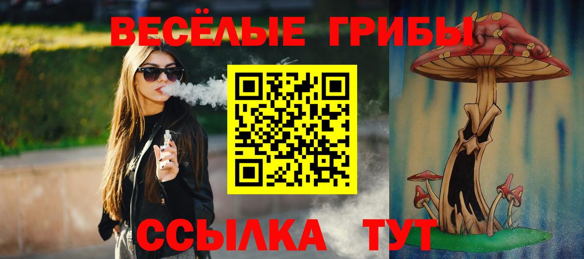 Галлюциногенные грибы Psilocybine cubensis Улан-Удэ