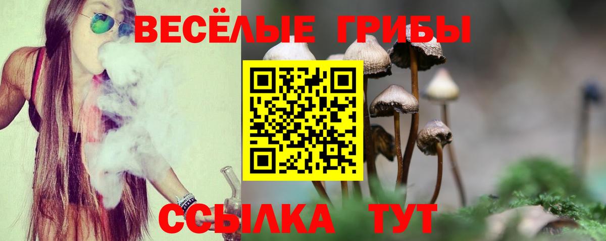 Псилоцибиновые грибы GOLDEN TEACHER  Вход с VPN  Улан-Удэ 